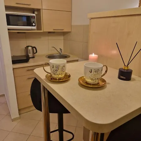 Prestige Centrum 公寓 华沙