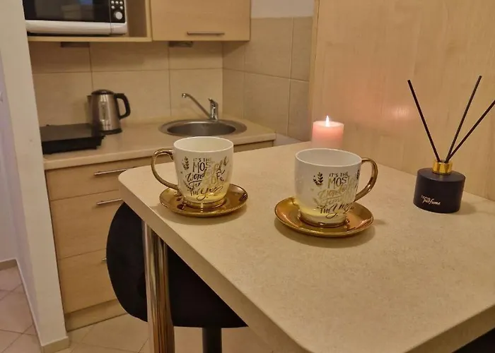 Prestige Centrum شقة وارسو